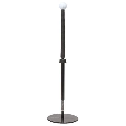 シンアナハイティー