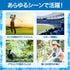 【7月限定販売】冷感ポンチョ【GOLFavo × phiten】