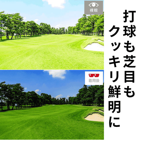 偏光スポーツサングラス ダークブラウン RS5001