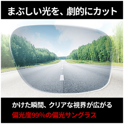 偏光スポーツサングラス ダークブラウン RS5001